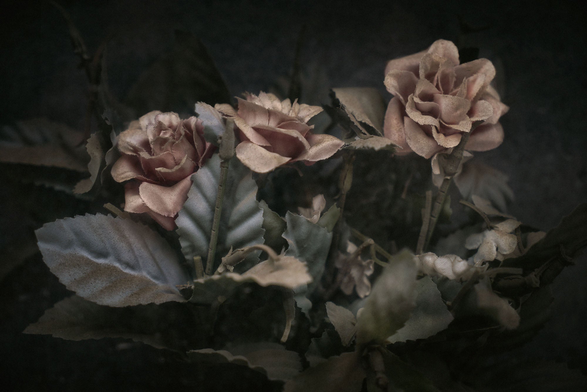 ETERNITY 60, 2008