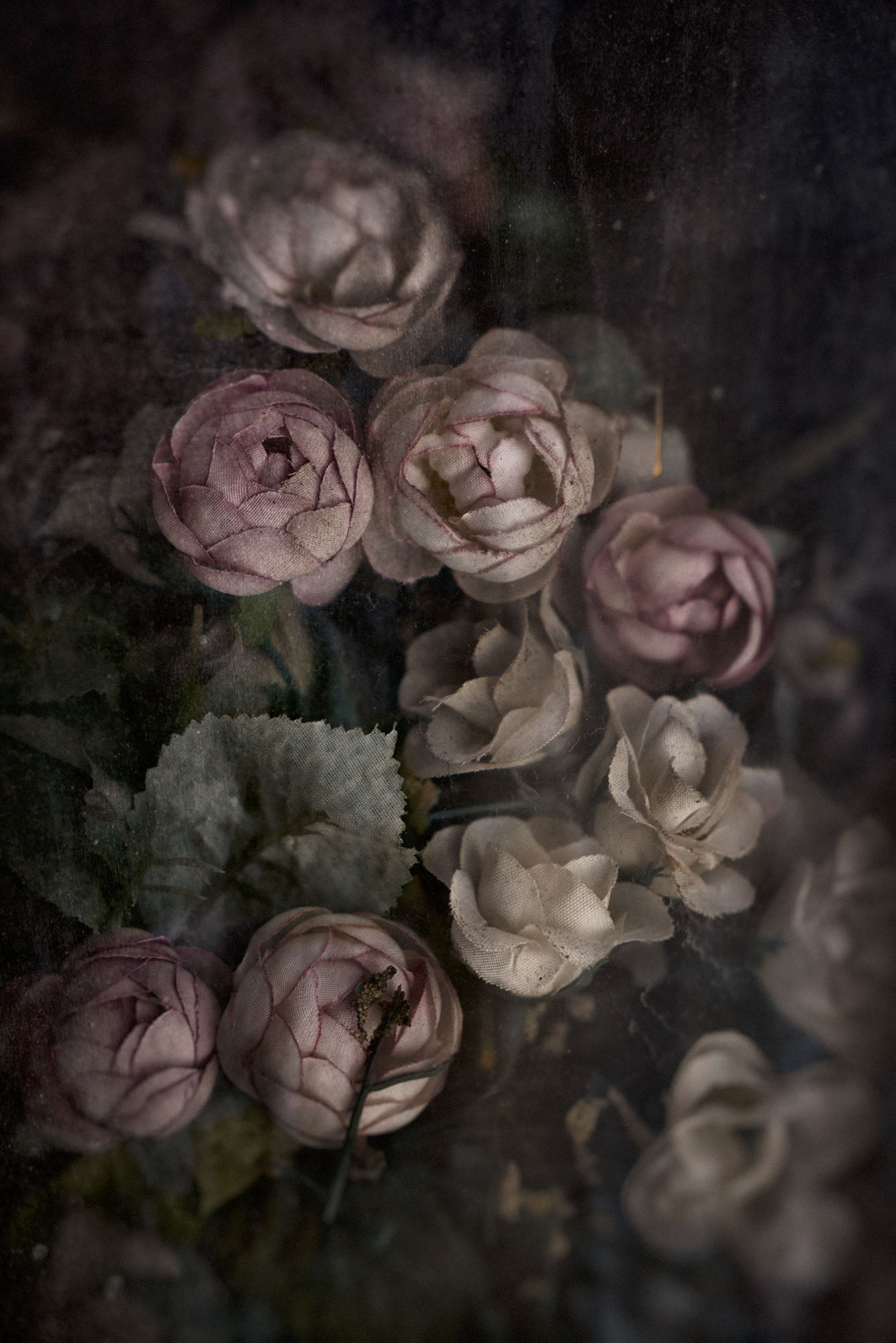 ETERNITY 64, 2010