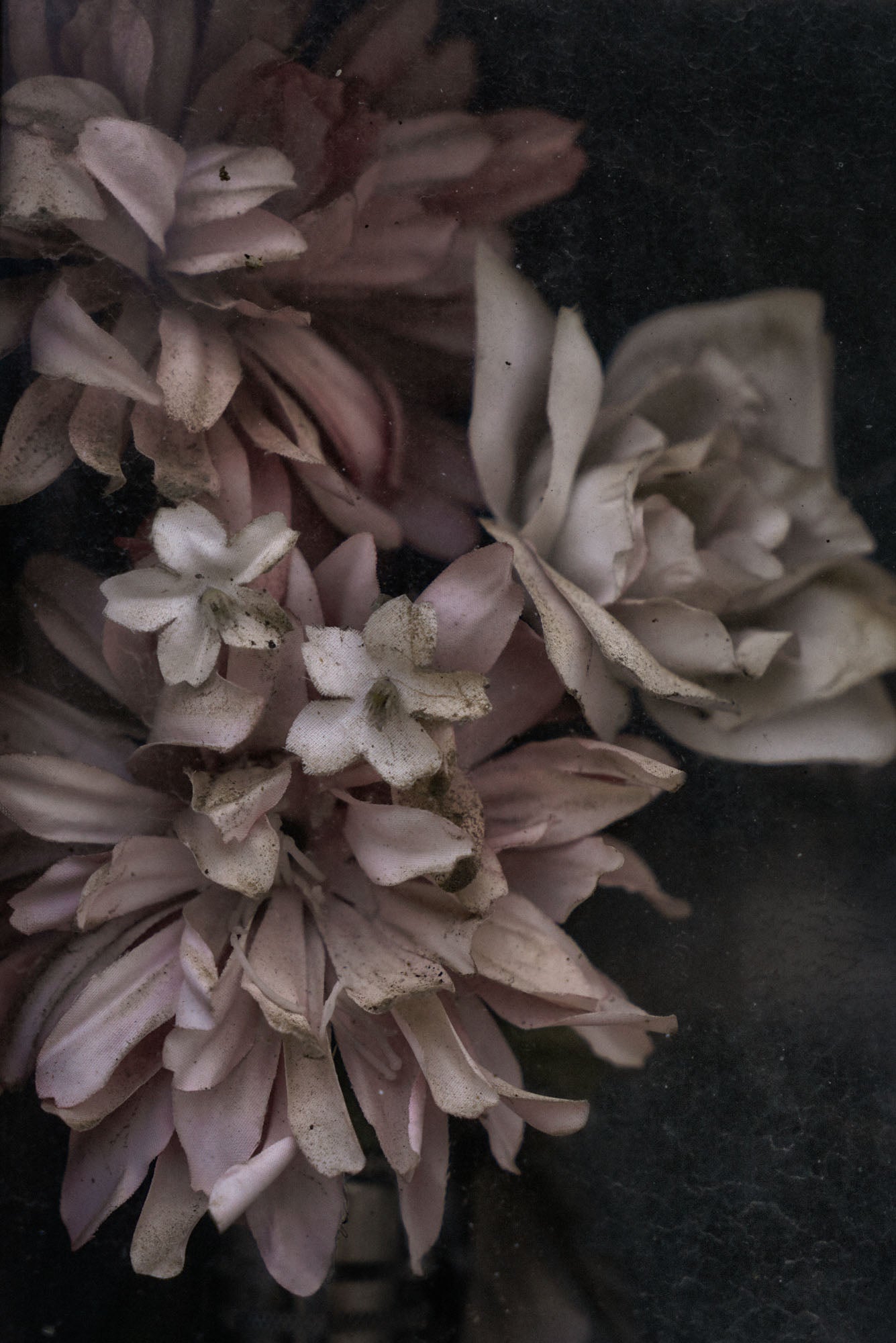 ETERNITY 65, 2011