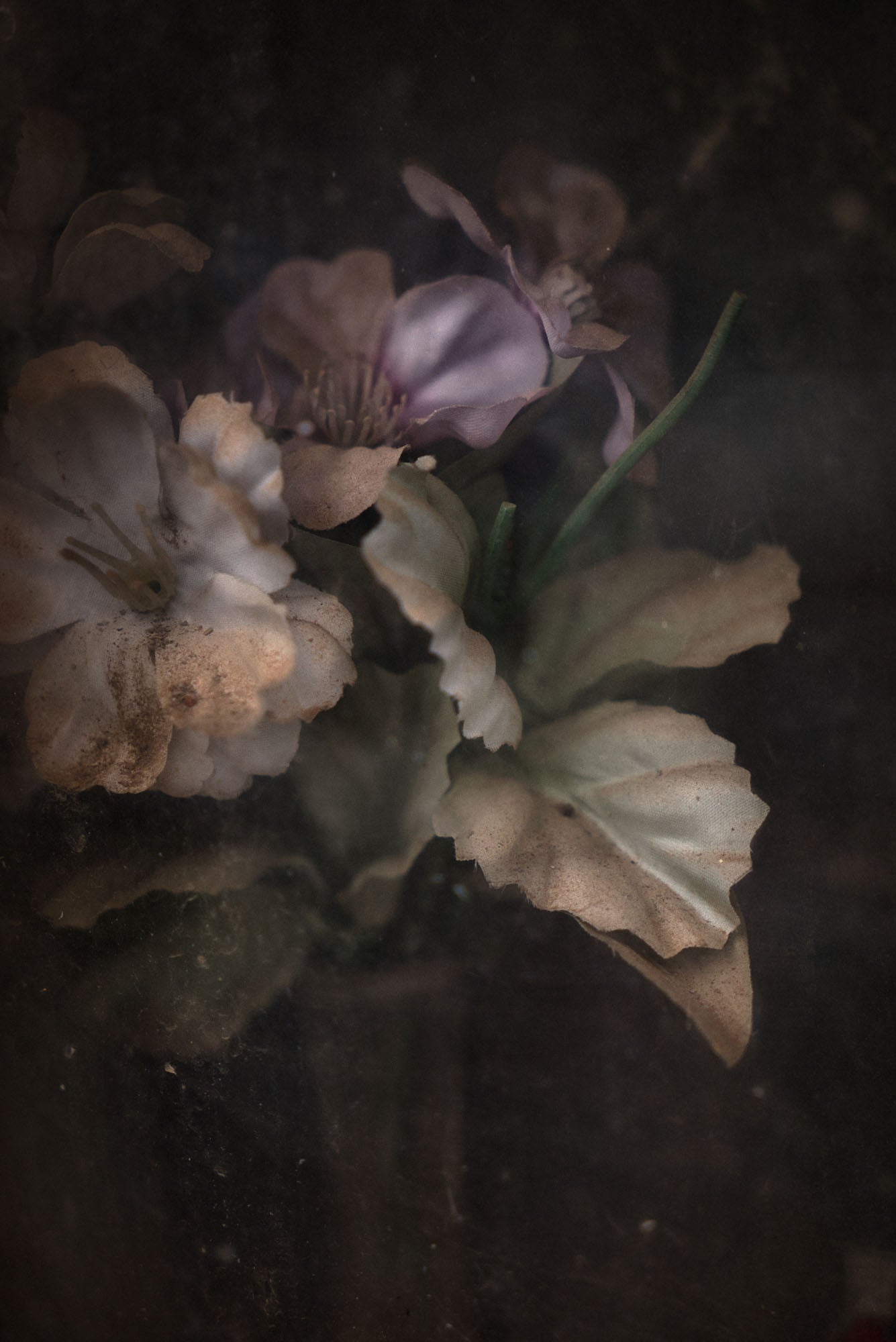 ETERNITY 69, 2009