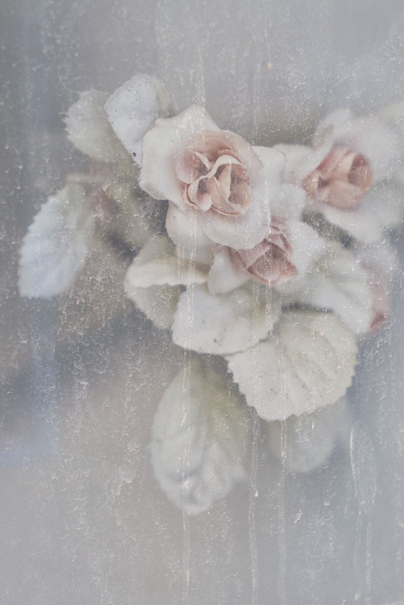 ETERNITY 75, 2010