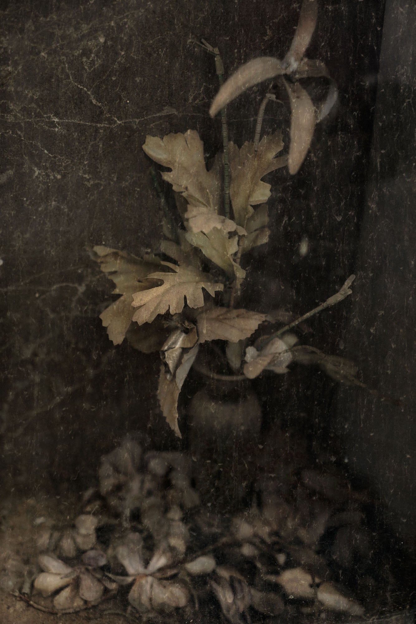 ETERNITY 77, 2011