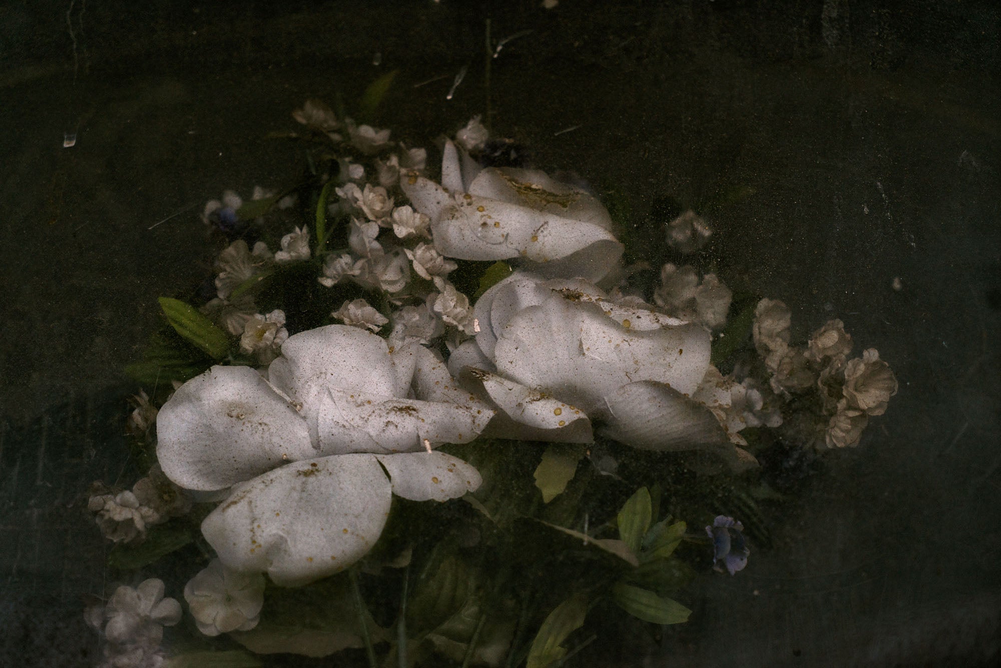 ETERNITY 83, 2011