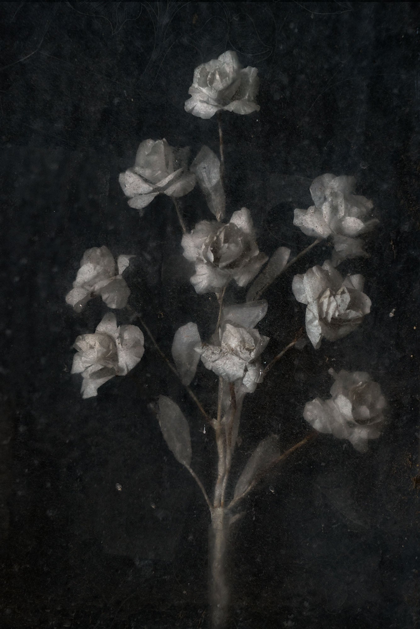 ETERNITY 86, 2006
