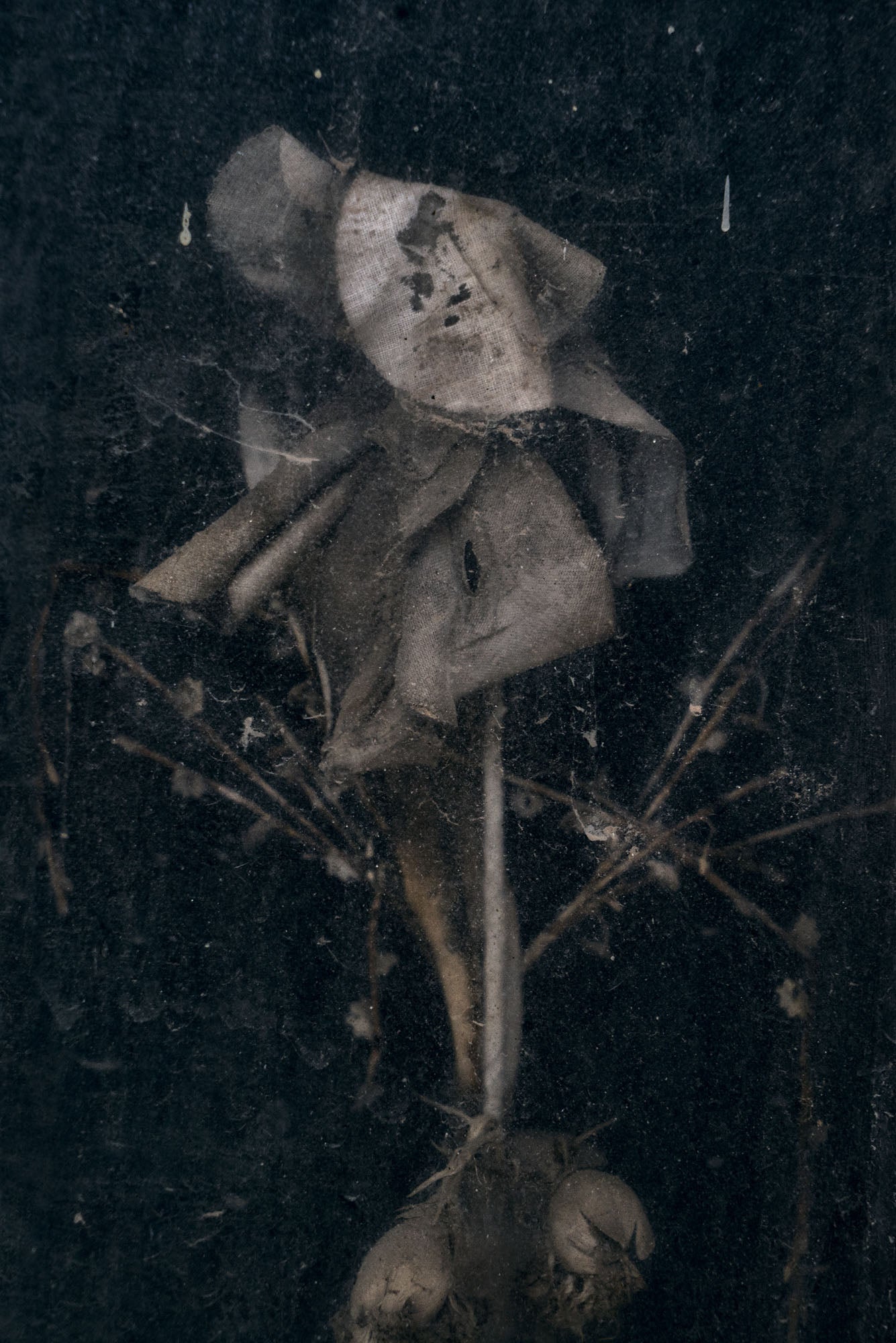 ETERNITY 91, 2010