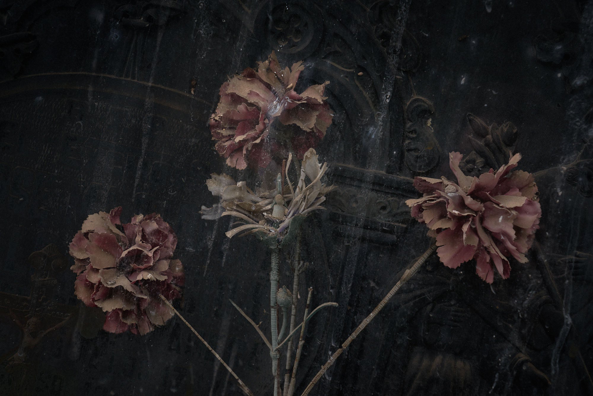 ETERNITY 96, 2015