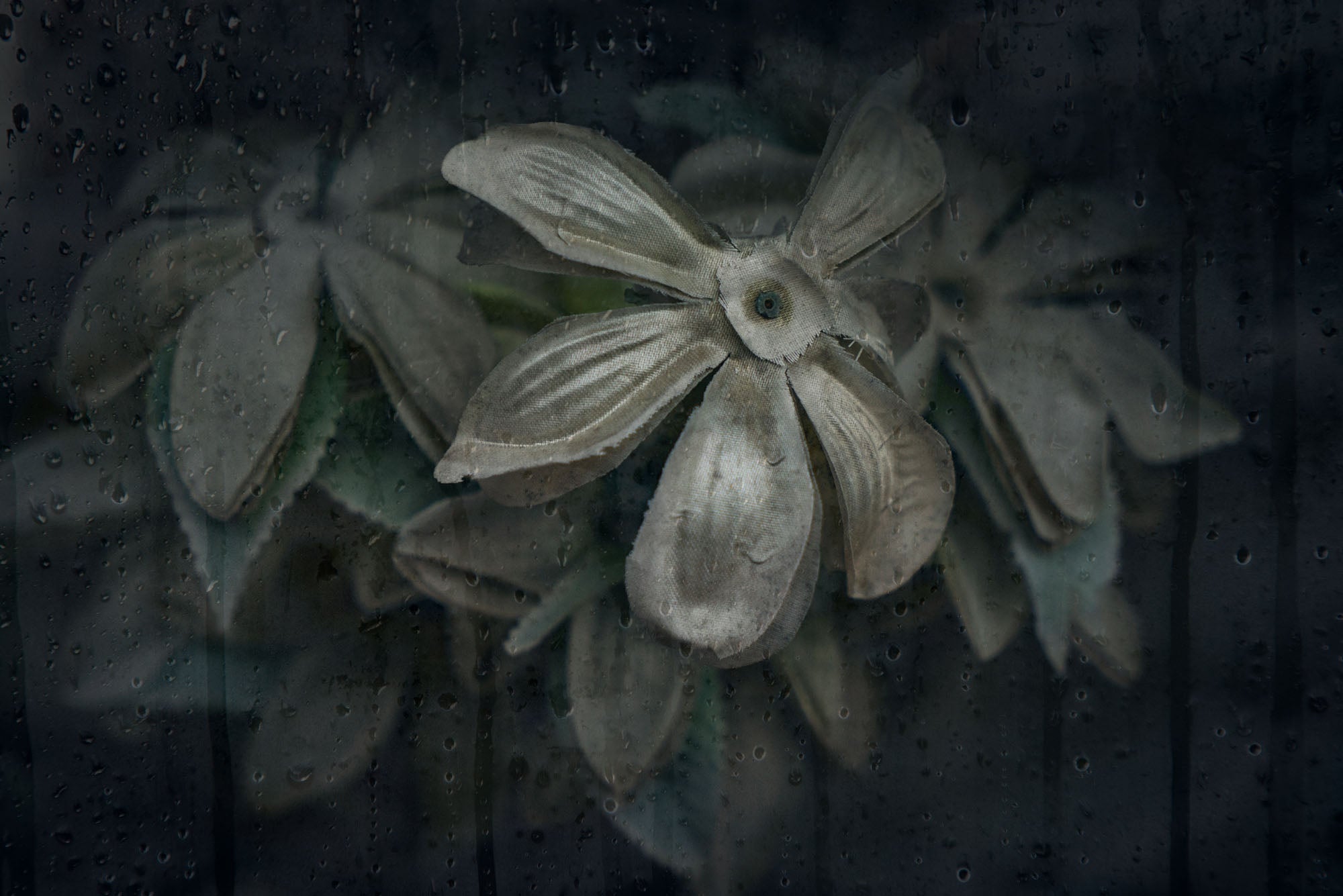ETERNITY 98, 2008