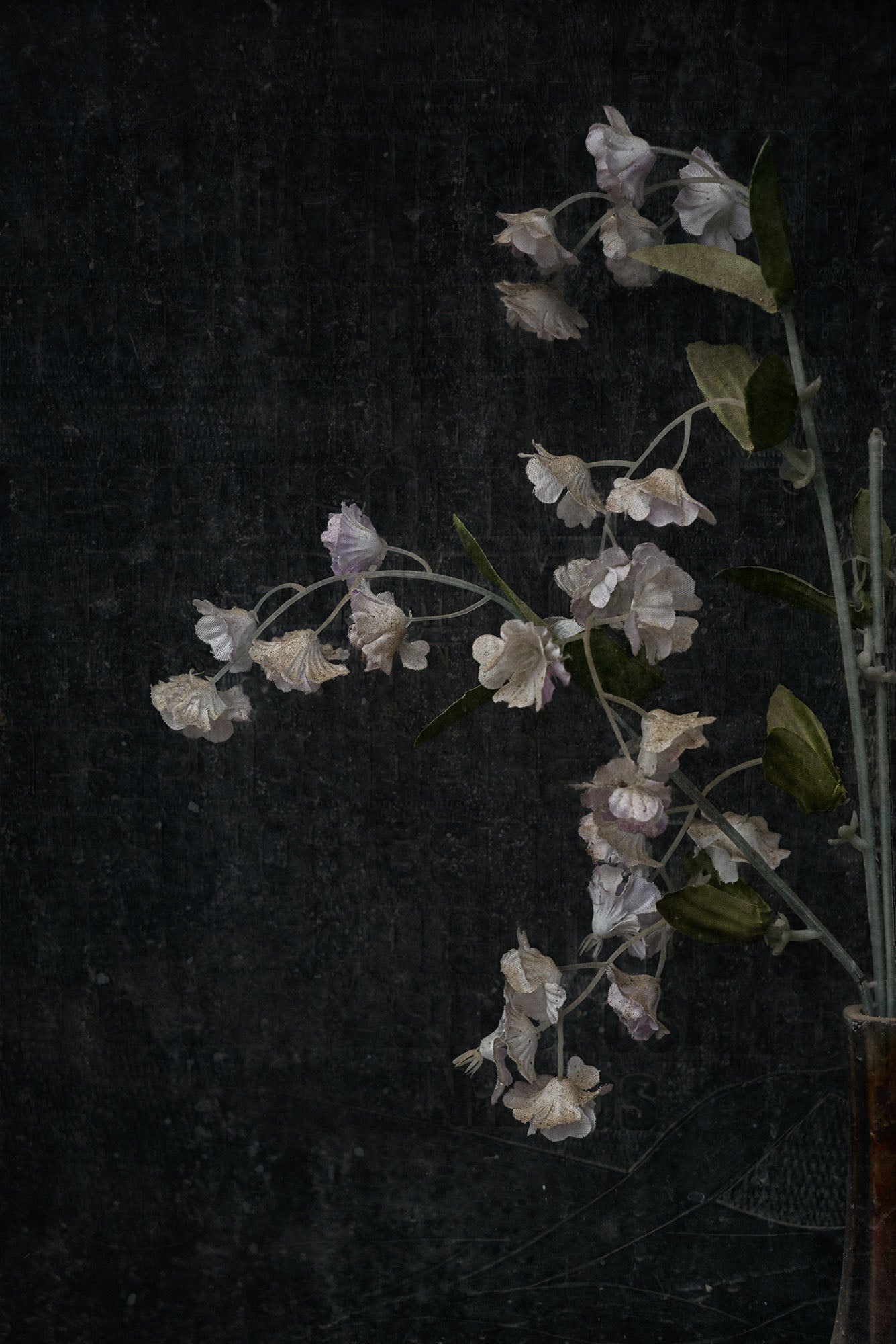 ETERNITY 99, 2005